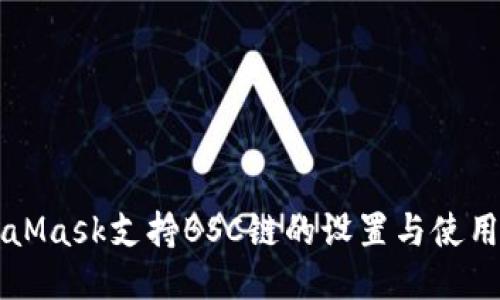 MetaMask支持BSC链的设置与使用指南