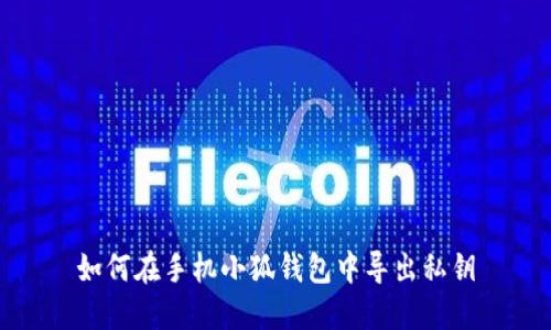 如何在手机小狐钱包中导出私钥