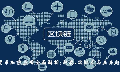  货币加密应用全面解析：种类、优缺点与未来趋势