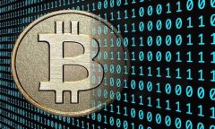 比特币与以太坊：选择最