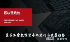 美国加密数字货币的发行