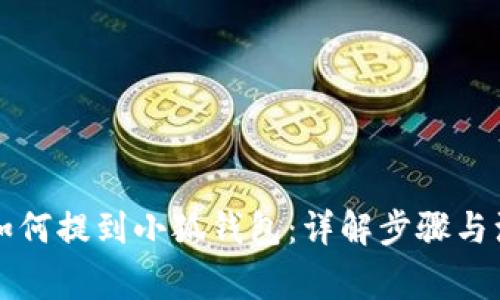 虚拟币如何提到小狐钱包：详解步骤与注意事项