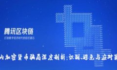 国内加密货币骗局深度剖