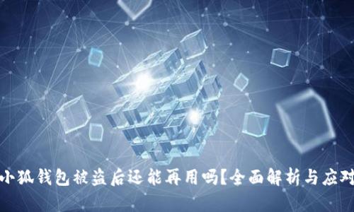 小狐钱包被盗后还能再用吗？全面解析与应对