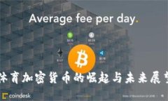 体育加密货币的崛起与未