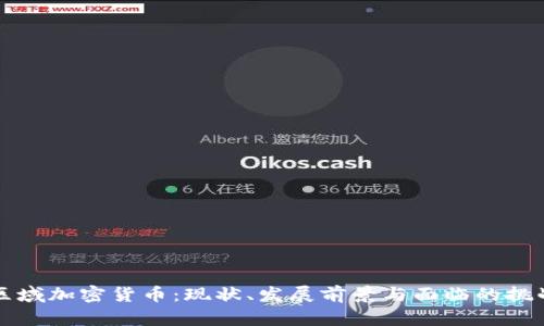 区域加密货币：现状、发展前景与面临的挑战
