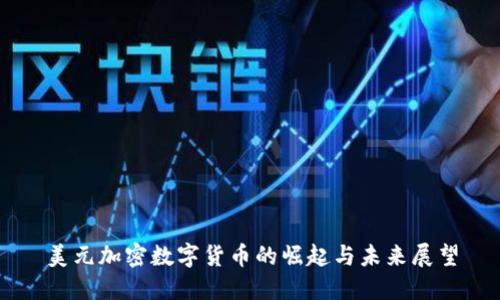 美元加密数字货币的崛起与未来展望