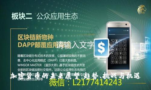 加密货币的未来展望：趋势、挑战与机遇