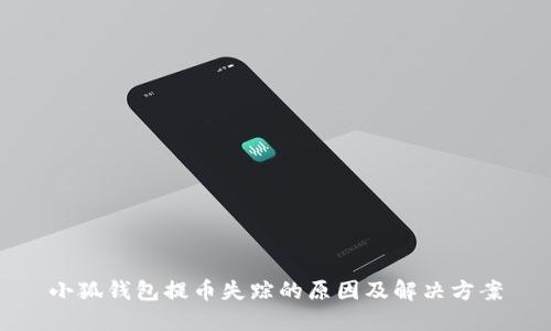小狐钱包提币失踪的原因及解决方案