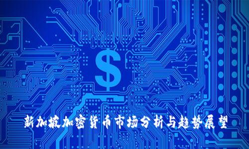 新加坡加密货币市场分析与趋势展望