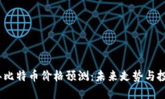 2023年比特币价格预测：未