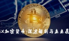 VGX加密货币：深度解析与