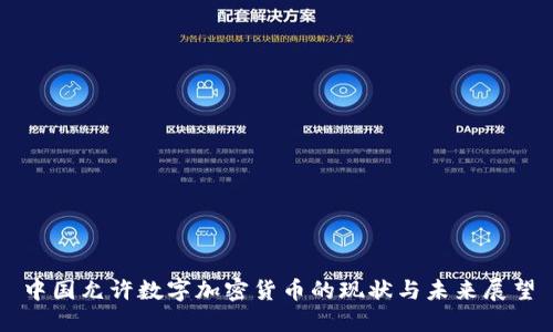 中国允许数字加密货币的现状与未来展望