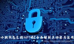 小狐钱包支持NFT吗？全面解析其功能与使用