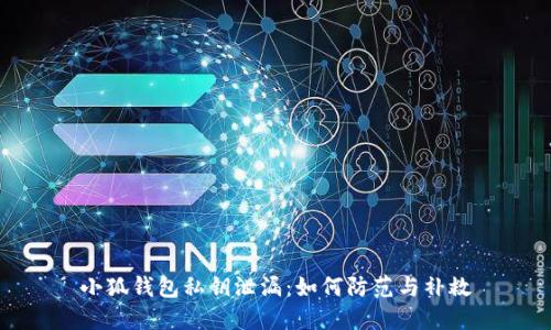 小狐钱包私钥泄漏：如何防范与补救