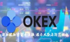 新加坡加密货币诈骗：揭示风险与防范措施