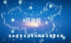 非加密货币应用的现状与前景分析