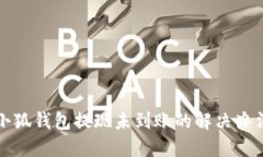 小狐钱包提现未到账的解