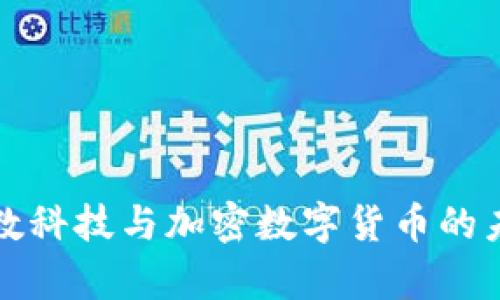 揭秘富数科技与加密数字货币的未来发展