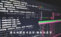 普京加密货币监管：解析