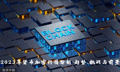 2023年货币加密行情分析：趋势、挑战与前景