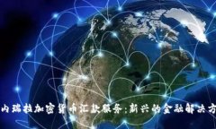 委内瑞拉加密货币汇款服