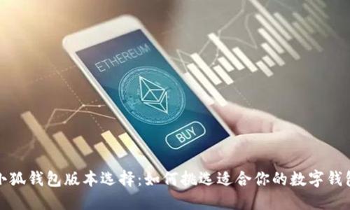 小狐钱包版本选择：如何挑选适合你的数字钱包