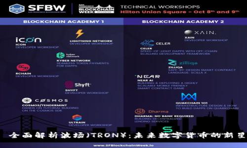  全面解析波场（TRON）：未来数字货币的新星
