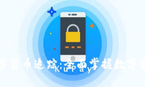加密数字货币追踪：全面掌握数字资产动向