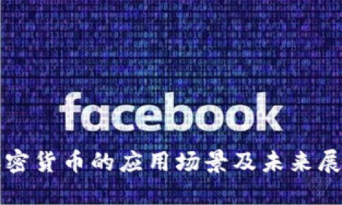 加密货币的应用场景及未来展望