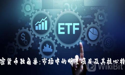 加密货币独角兽：市场中的明星项目及其核心特征