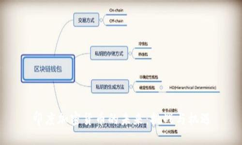 印度加密货币的未来：挑战与机遇