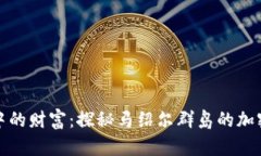 神秘海洋中的财富：探秘