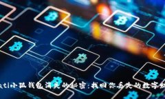 biati小狐钱包消失的秘密：