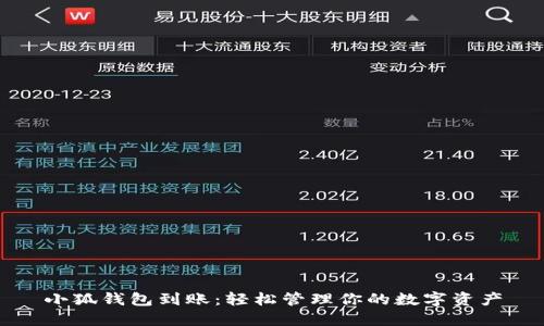 小狐钱包到账：轻松管理你的数字资产