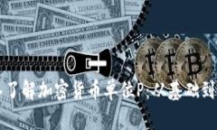深入了解加密货币单位P：