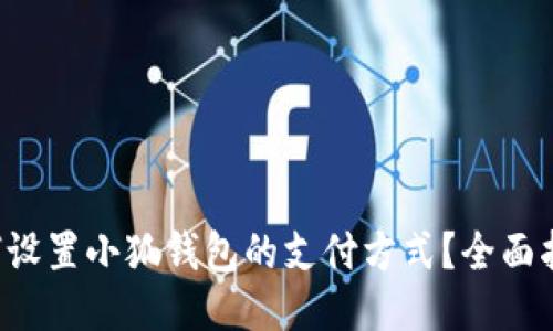 如何设置小狐钱包的支付方式？全面指南！