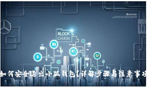 如何安全退出小狐钱包？详解步骤与注意事项