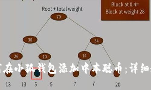 如何在小狐钱包添加中本聪币：详细教程