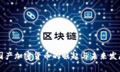 国产加密货币的崛起与未