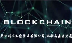 尼日利亚加密货币有限公