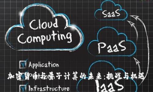 加密货币与量子计算的未来：挑战与机遇