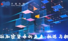   金融加密货币的未来：机