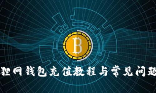 火狐狸网钱包充值教程与常见问题解析