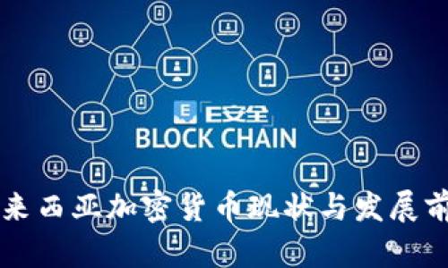 马来西亚加密货币现状与发展前景