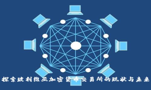 探索玻利维亚加密货币交易所的现状与未来