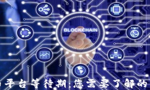 
加密货币平台等待期：您需要了解的关键要素