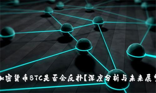 加密货币BTC是否会反扑？深度分析与未来展望