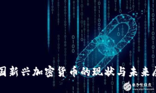 中国新兴加密货币的现状与未来展望